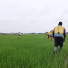 Se plantea dejar de producir en zona altas.