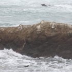 Los dos jóvenes se ubicaron en la punta del islote que estaba rodeado de agua.
