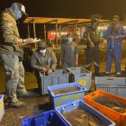 Fotografía cedida este miércoles por Parque Galágapos que muestra a varios hombres mientras realizan un control de pesca del pepino de mar en la Isla de Santa Cruz.
