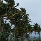 México se prepara para el mal tiempo.