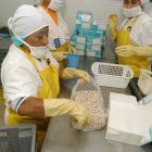 Exportar hacia mercados como Estados Unidos, requiere de mayor mano de obra. El producto que se envía es de valor agregado.