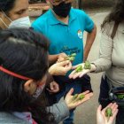 Anfibios. La rana marsupial es el atractivo principal de la exposición.