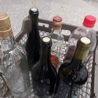 La toma de decisiones, como la de beber otra copa o abstenerse, es compleja; el cerebro tiene un importante sistema de comportamiento motivado.