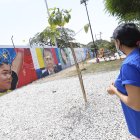 EN LA CIUDADELA PRADERA #3 , EL BOSQUE DE COLORES SE TRANSFORMA, 23 DE  AGOSTO  DEL 2021 AMELIA ANDRADE Guayaquil-Ecuador Agencia (ag-expreso)