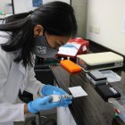 Una asistente de laboratorio fue registrada al procesar una muestra recolectada para el proyecto Barcode Galápagos, en los laboratorios de la USFQ, en isla de San Cristóbal.