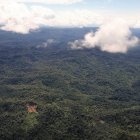 Fotografía de archivo del 18 de junio de 2020 que muestra una vista aérea de una zona boscosa de la Amazonía ecuatoriana, en la provincia de Pastaza, fronteriza con Perú (Ecuador).
