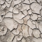 Tierra cuarteada por la sequía.