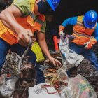 Hecho. Cada vez hay más casos en los que se encuentran estos materiales en centros de acopio.