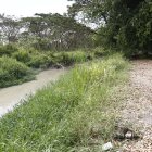 La zanja que divide a las ciudadelas Guayacanes y Samanes es un botadero de desechos que emana malos olores y se ha convertido en un sitio donde se producen accidentes de tránsito.