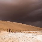 Una tormenta llega durante la excavación arqueológica de los restos de un antiguo lago en el norte de Arabia Saudí, donde los antiguos humanos vivían junto a animales como los hipopótamos.