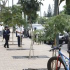 Puerto Santa Ana. En enero fueron talados seis árboles que daban la bienvenida al área.