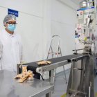 Este proyecto nació en el 2018.