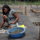 Una mujer Kandozi de la comunidad Musa Karusha siembra huevos de la tortuga Taricaya en unas playas artificiales.