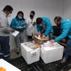 Revisión. Las autoridades compararon los medicamentos recibidos ayer.