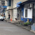 Evidencias. Miembros de Criminalística de la Policía y agentes de la Fiscalía recogieron indicios del hecho.