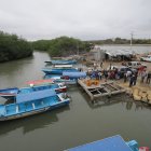 Entrada. Uno de los ingresos a la Isla Puná es la comuna Bellavista, donde se llega en lancha desde Posorja. Los pobladores aseguran que el lugar es tranquilo, pero inquietante por la piratería.