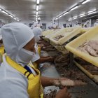 Ecuador es el principal país atunero del Pacífico Oriental y exporta a Europa.