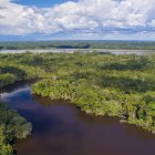 Parque Nacional Yasuní.