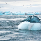 El cambio climático podría ser la causa enfermedades a futuro