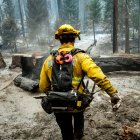 Los grandes incendios forestales en varias regiones del mundo han provocado un cambio en el clima, lo que afecta la salud humana. ETIENNE LAURENT / EFE