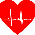 Hoy se celebra en todo el mundo el día de este órgano