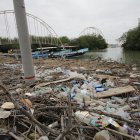 Arrastre. Los desperdicios se apilan a un costado del muelle de la comuna Bellavista; cuya playa, que está cruzando un puente corroído, está también llena de basura.  y donde las 2 y 3. Hecho. Las acémilas aprovechan la desolación para buscar comida en medio de los desperdicios que se recogen y que también son apilados en la playa, donde se evidencia el abandono y olvido al turismo de esa parte de la Isla.