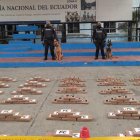 Los 950 paquetes rectangulares hallados en uno de los containers que esperaban ser llevados a Eutopa.