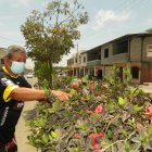 Avenida Sixto Chang. Esas son algunas de las especies que Jorge De la A, en la imagen, ha sembrado en su calle. Antes en ellas no había nada verde.