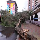 Bloqueo. Un árbol cayó sobre la avenida Diego de Almagro, en el centro.