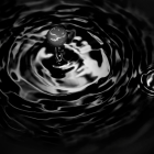 Petroecuador adjudicó a la firma Shell Western Supply and Trading Limited, la exportación de 1.440.000 barriles de crudo "Oriente".