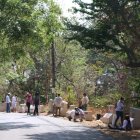 Resultados. En la intervención se recogieron 60 sacos de desechos.