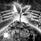 COP26: de negociaciones a soluciones climáticas.