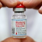 La vacuna de la farmacéutica Moderna.