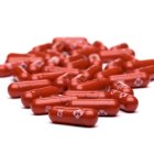 Imagen facilitada por la compañía Merck de su fármaco molnupiravir.