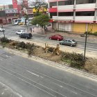 La tala de un árbol en la avenida Benjamín Carrión y Rodolfo Baquerizo Moreno, en la Alborada provocó malestar en moradores.