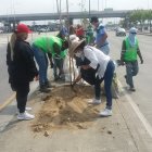 La falta de sombra en la ciudad está moviendo a la comunidad para sembrar más árboles en diferentes sectores.