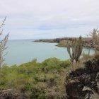 Fotografía de la bahía el 13 de noviembre de 2021 en la isla de Santa Cruz, en el archipiélago de Galápagos (Ecuador).