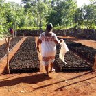 El Gobierno busca imponer una contribución temporal, sobre los patrimonios de personas naturales.