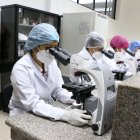 Los estudiantes realizan prácticas en los cuatro microscopios que tiene el laboratorio.