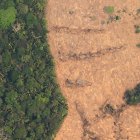 Vista aérea de áreas deforestadas de la selva amazónica de Porto Velho, Rondonia (Brasil), en una fotografía de archivo.