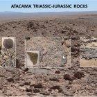 Imagen cedida por Guillermo Chong y Laura Sánchez-García de los afloramientos de carbonatos marinos del Triásico-Jurásico en el Desierto de Atacama (Chile).