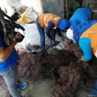 Hecho. En el operativo participaron varias instituciones.