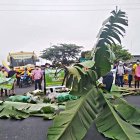 Con racimos y neumáticos agricultores bloquearon vías. Babahoyo y Puebloviejo, Los Ríos _Tatiana Ortiz