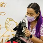 La doctora Victoria Guarín está al frente de esta clínica veterinaria que prioriza la salud preventiva de las mascotas.