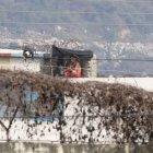 Vigilancia. En las esquinas superiores de la cárcel se improvisaron garitas.