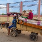 En Maracaibo, Venezuela. ante la escasez de gasolina y repuestos para un coche o una moto, el transportista Tony Monsalvo trabaja con su burro y una carreta en su Maracaibo natal, noroeste de Venezuela, a cambio de unos 10 o 15 dólares diarios, que le alcanzan para mantener a tres familias. La práctica, aunque no es nueva, se ha multiplicado en los últimos años en la zona. EFE/ HENRY CHIRINOS