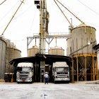 La industria esperaba la autorización para importar 200.000 toneladas para cubrir el faltante que tendría en marzo y abril.