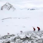 Fotografía cedida por Imagen Chile que muestra a visitantes mientras caminan por el Glaciar Unión. A partir de las 7:00 GMT de este sábado la Luna se interpondrá ante el Sol y comenzará a proyectar una sombra sobre la Tierra hasta producir un eclipse solar total cuando las tres esferas queden alineadas en recta, un fenómeno que podrá ser visto en su plenitud desde la Antártida, que acoge estos días a grupos de científicos para su observación. EFE/ Felipe Trueba/Cortesía Imagen Chile/SOLO USO EDITORIAL/SOLO DISPONIBLE PARA ILUSTRAR LA NOTICIA QUE ACOMPAÑA (CRÉDITO OBLIGATORIO)