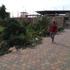 Este es el panorama en los solares de la ciudadela Juan Baustista.