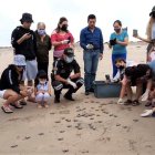 Especies.  Desde tortugas y peces, hasta lobos marinos viven en la reserva. Hay  meses en donde se registra incluso la llegada de piqueros azules.